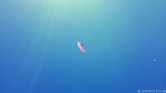 paragliding-borjava-014.jpg