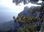 yalta-downhill-from-ai-petri-09.jpg
